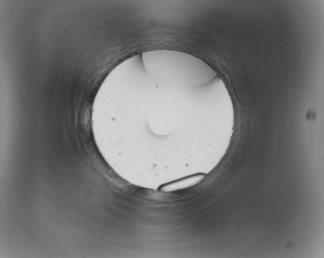 X0000113930336200910231927