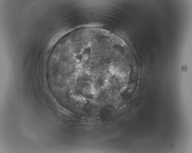 X0000113930337200910231926