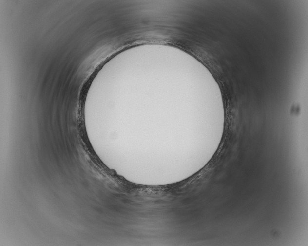 X0000113930338200910231926