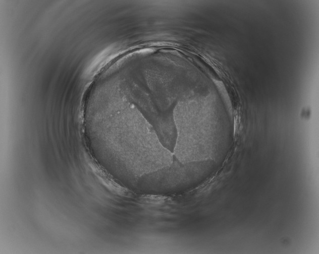 X0000113930339200910231926