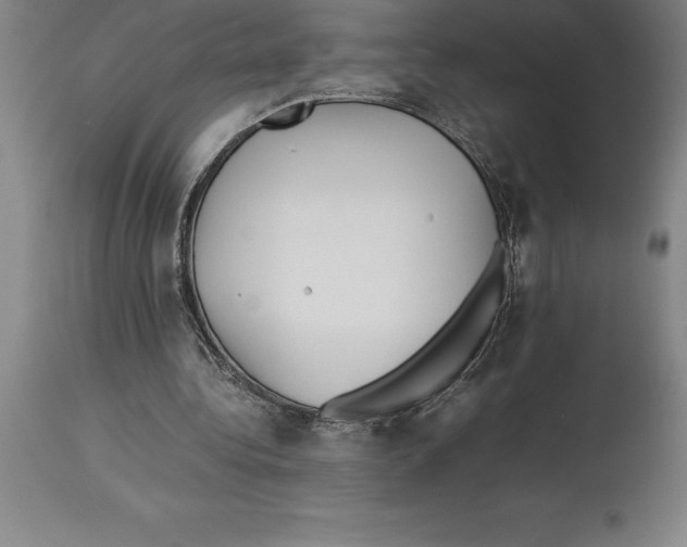 X0000113930340200910231926