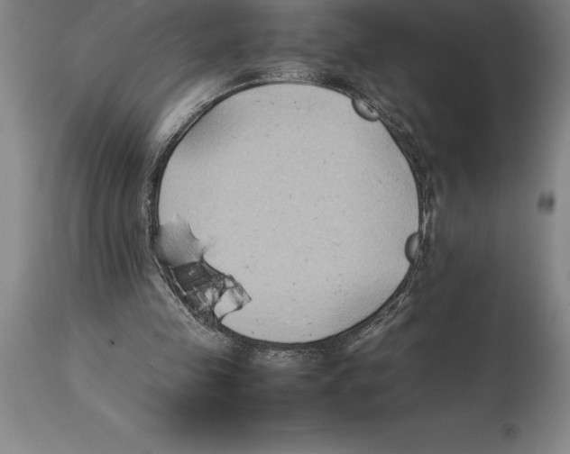 X0000113930341200910231926