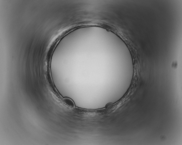 X0000113930342200910231926