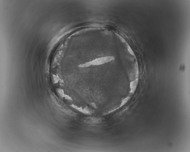 X0000113930343200910231926