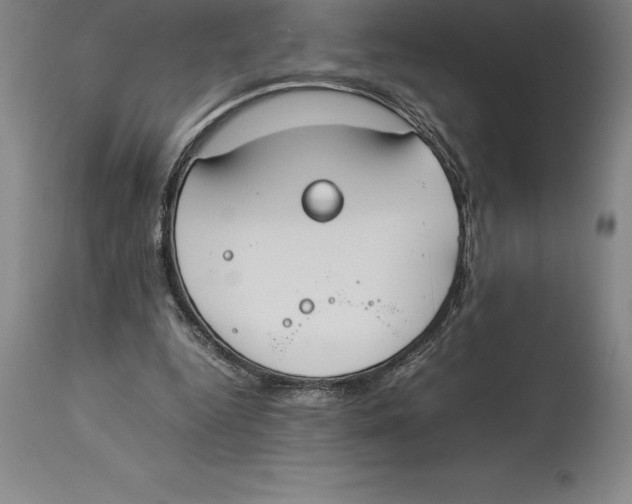 X0000113930344200910231926