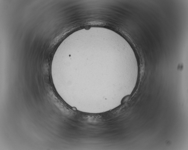 X0000113930345200910231926