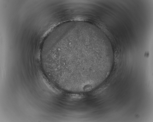 X0000113930347200910231927