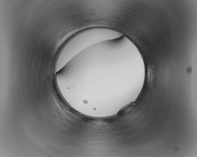 X0000113930348200910231927
