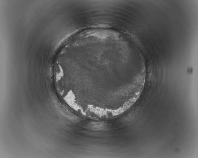 X0000113930351200910231927