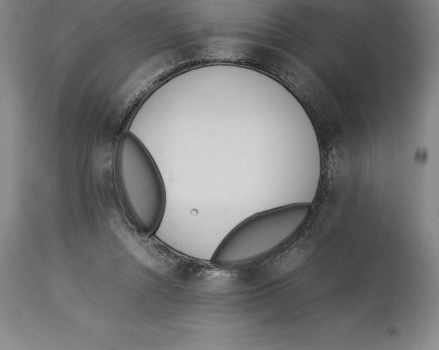 X0000113930352200910231927