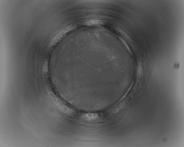 X0000113930353200910231927
