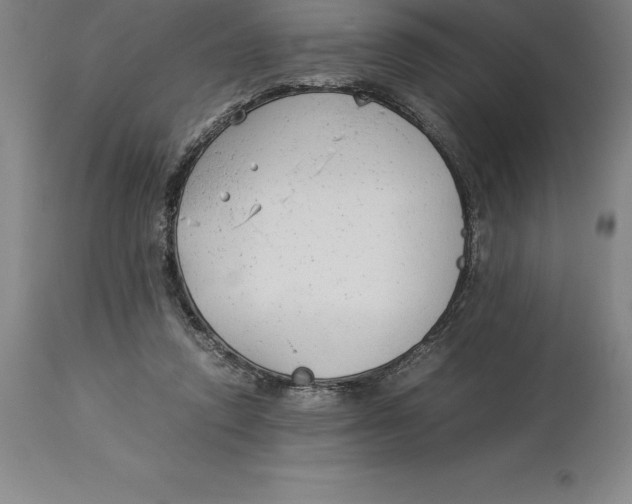 X0000113930354200910231927