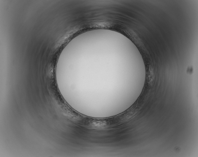 X0000113930355200910231927