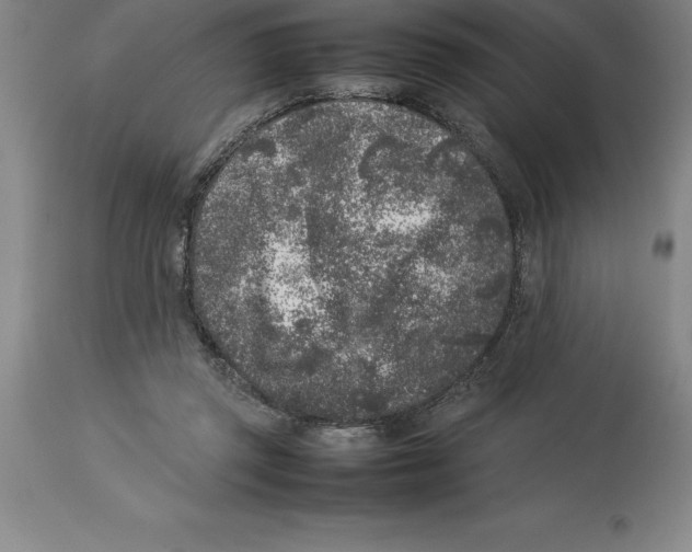 X0000113930357200910231927