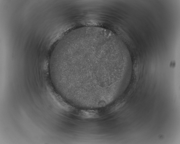 X0000113930359200910231927