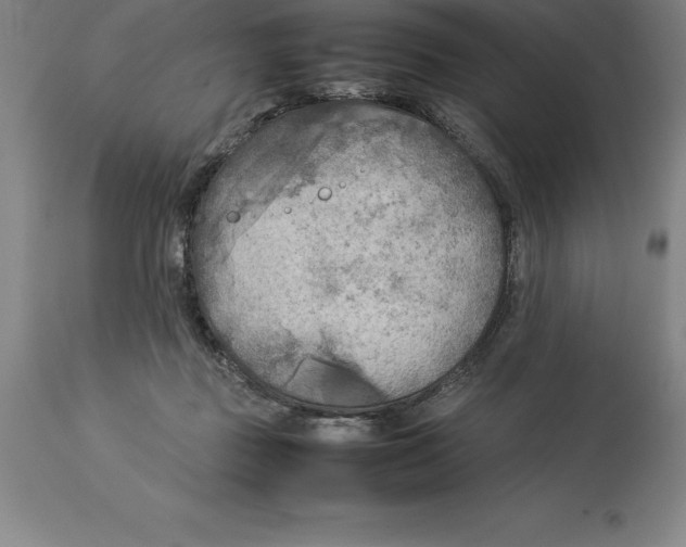 X0000113930363200910231927