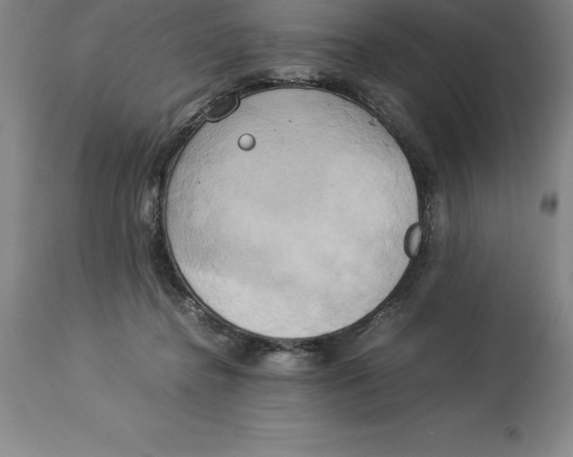 X0000113930364200910231927