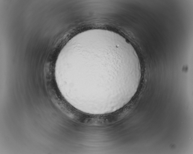 X0000113930366200910231927