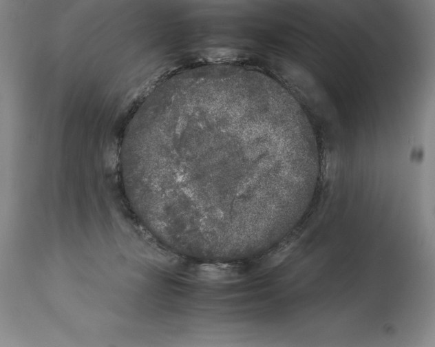X0000113930367200910231927