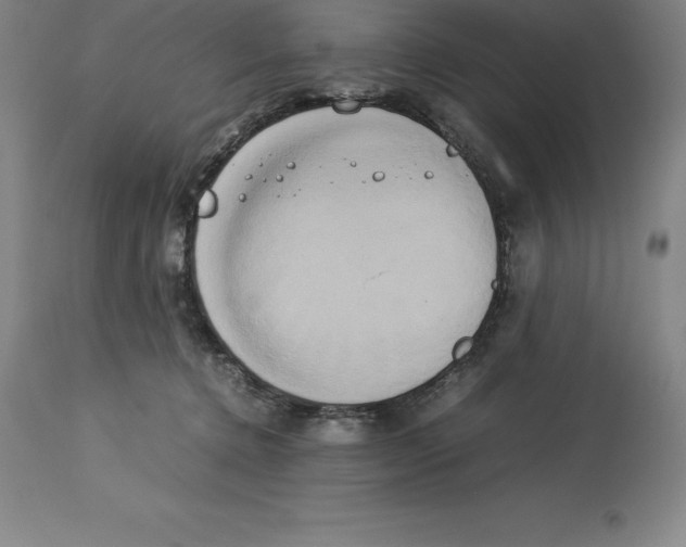 X0000113930368200910231927