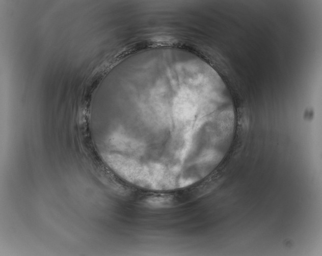 X0000113930369200910231927