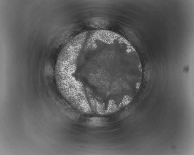 X0000113930371200910231927