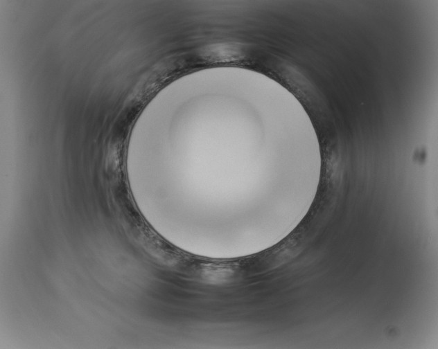 X0000113930373200910231927