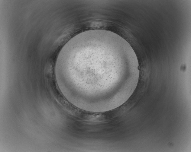 X0000113930375200910231927