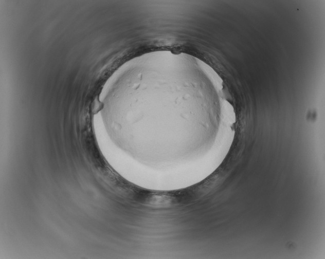 X0000113930376200910231927