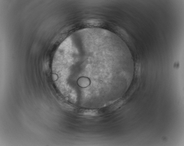 X0000113930377200910231927