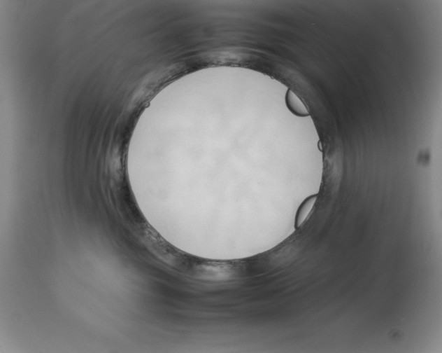 X0000113930381200910231927