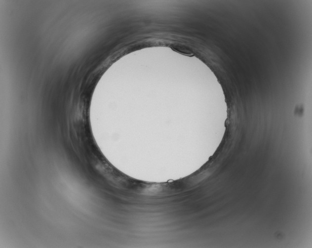 X0000113930382200910231927