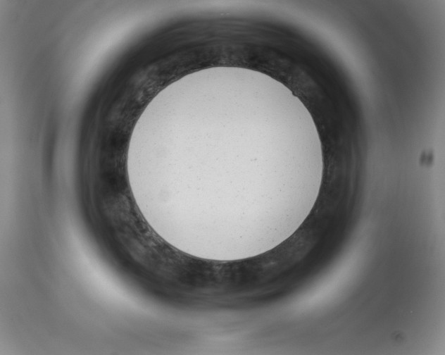 X0000113930383200910231927