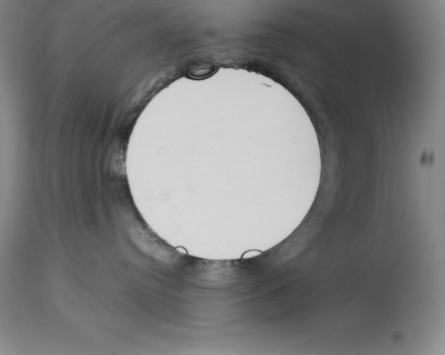 X0000113930384200910231927