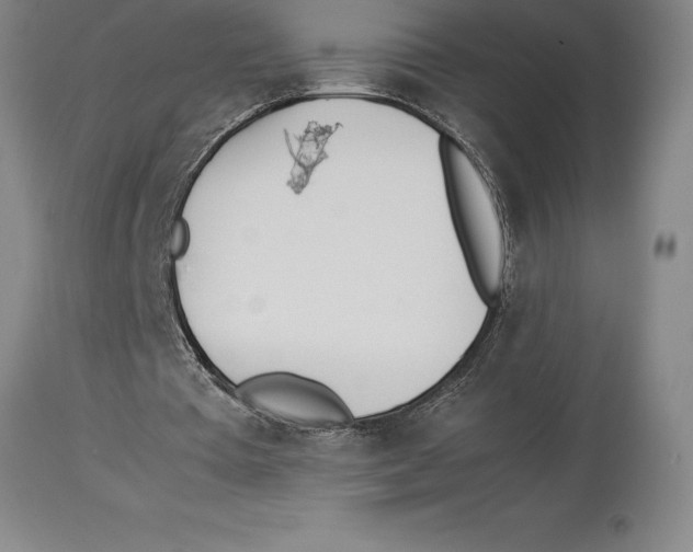 X0000113930385200910231926