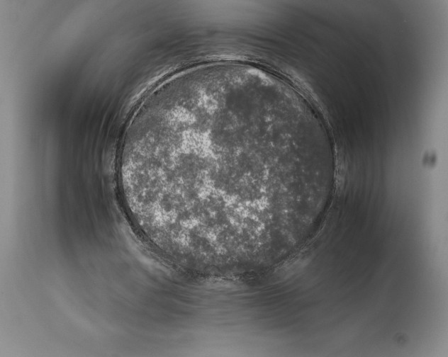 X0000113930386200910231926