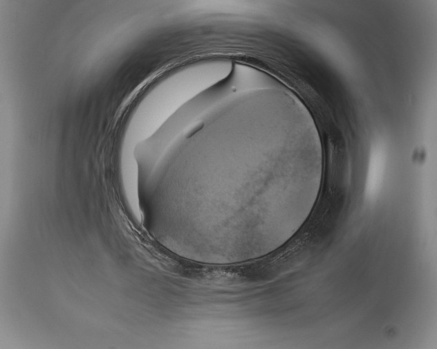 X0000113930387200910231926