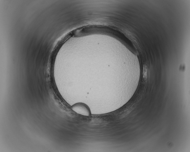 X0000113930388200910231926
