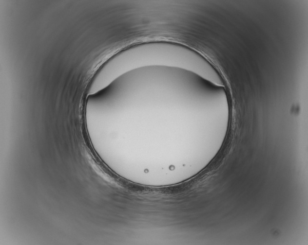 X0000113930389200910231926