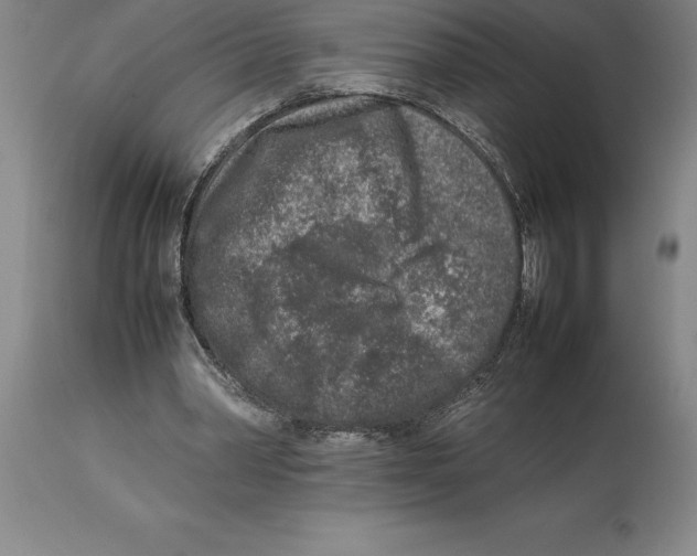 X0000113930390200910231926