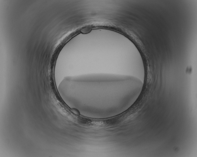 X0000113930391200910231926