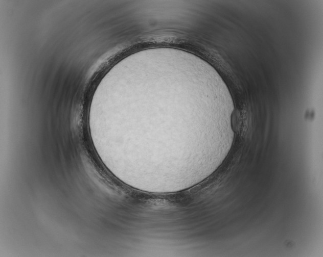 X0000113930392200910231926