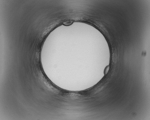 X0000113930393200910231926