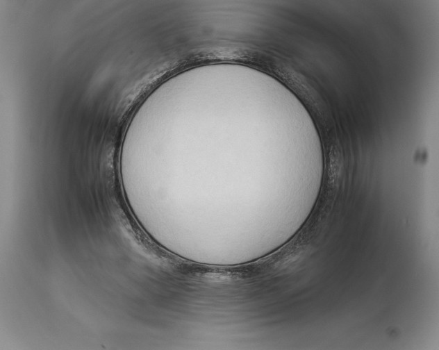 X0000113930394200910231926
