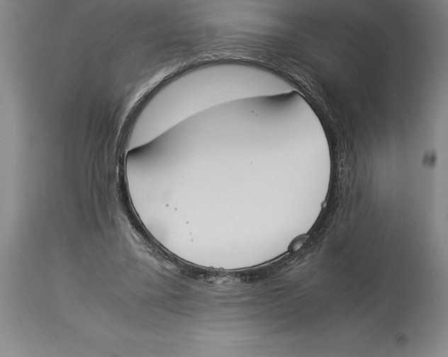 X0000113930395200910231926