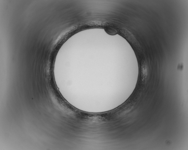 X0000113930396200910231926