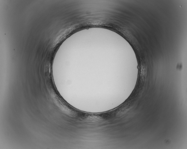 X0000113930397200910231926