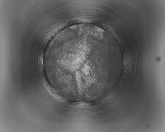 X0000113930398200910231926