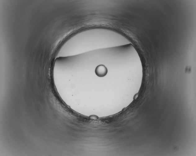 X0000113930399200910231926