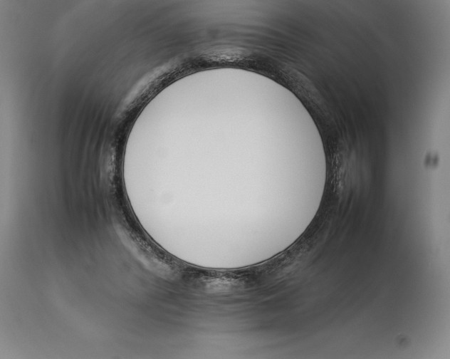 X0000113930400200910231926